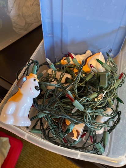 Dog Christmas lights etc.