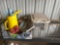 GREASE GUN. POLY OIL CAN ASSORTMENT