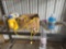 EXTENSION CORD, WINDSHIELD WASHER and LUBRICANT ASST.