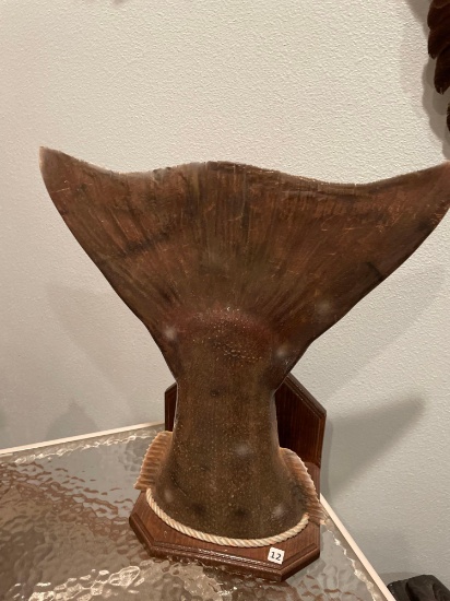 Mounted Fish Tail- 18''T x 16''W