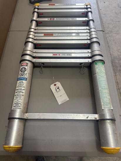 Telescoping ladder