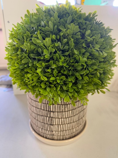 Decorative Plant Arrangement by Elements - Donated by Central Bank of Storm Lake