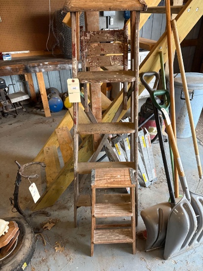 2 ft & 5 ft Step Ladder
