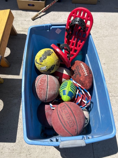 ASSORTMENT SPORTING BALLS