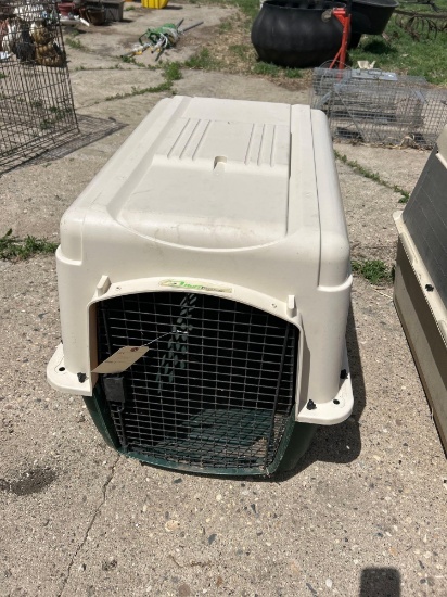 Portable dog kennel