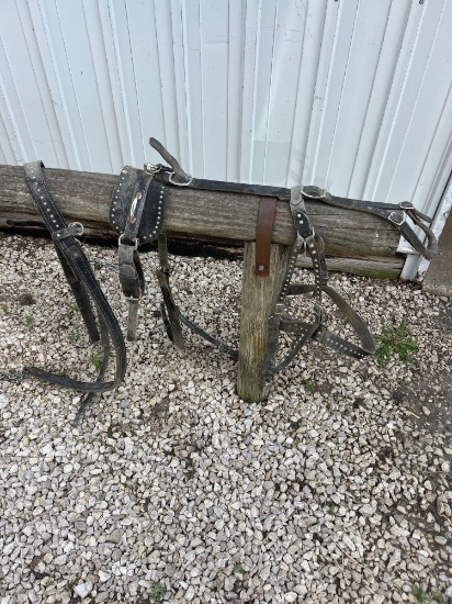 Single pony small horse harness