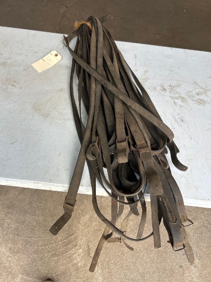 Misc. reins and leather parts