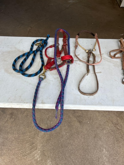 2 bits and halters, tie down, 2 leads Shipping