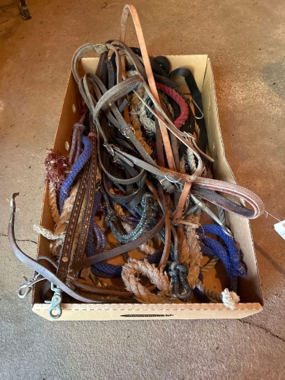 Assorted halters and lead ropes Shipping