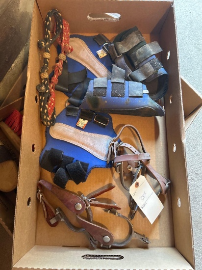 Spurs, lead rope, weighted boots, etc
