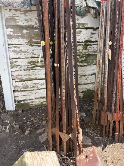 20 steel push posts