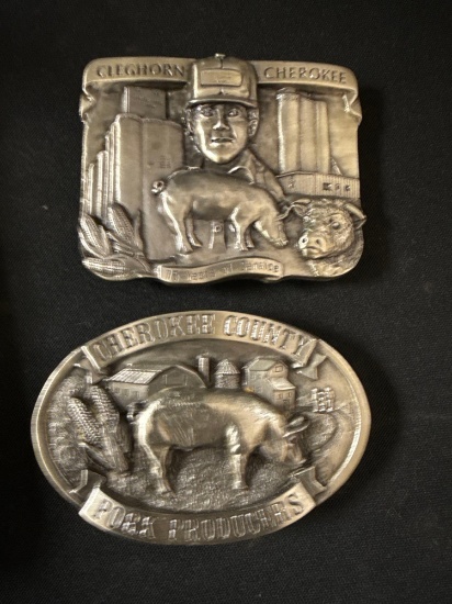 2 ct. Assortment of Collectible Belt Buckles