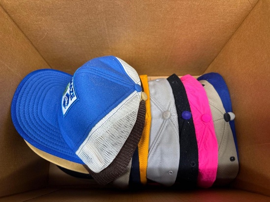 10-Assorted Farm Caps
