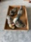 Wood ducks.