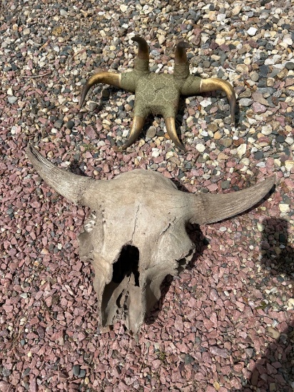 Skulls