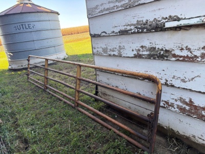 16' Tube Gate, Hog/Sheep