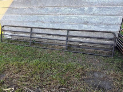 16' Tube Gate, Hog/Sheep
