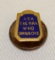Packard Radiator Shaped Pin Badge 