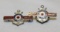 Pair of Packard Motor Car Co WWII Employee Service Merit Award Wing Pin Badges