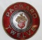 Packard Twelve Crest Emblem Badge