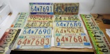 Group of Indiana License Plates