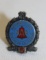 AAA Automobile Club of Southern California 5 Year Service Award Pin Badge