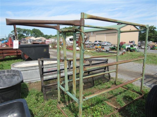 Show Cattle Chute