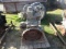 Kubota Hit & Miss Engine
