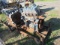 Kubota Hit & Miss Engine