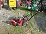 Craftsman Sidewalk Edger