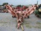 Befco Batwing Mower