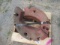 International Tractor Wheel Weights (set of 2)
