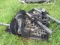 (New) Wolverine Skid Steer QA Hyd. Auger w/ 12