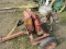 Hale PTO Pump