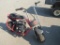 Baja Doodle Bug Mini Bike