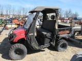 Red Buggy