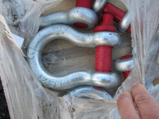 Anchor Shackle Lot (New)