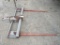 Bale Forks