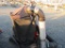 Ariens Vac/Catcher - fits NH/Ariens garden tractor