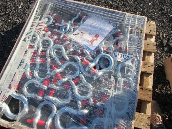Anchor Shackle Lot (New)