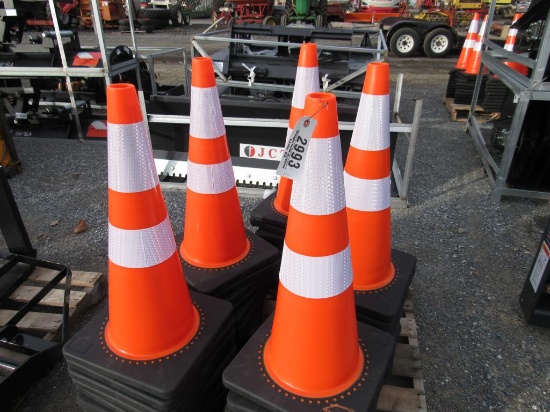 New Traffic Cones