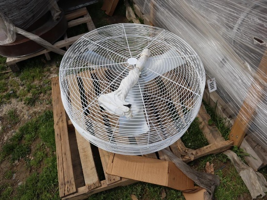 Fan