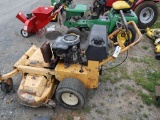 Cub Cadet WB Mower (non-running)