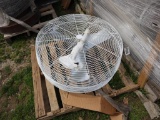 Fan