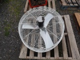 Fan