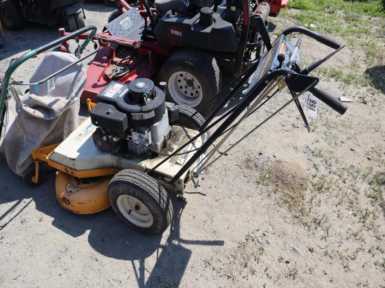 Cub Cadet Mower