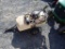 Tow Behind Sprayer