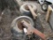 Wagon Tires & Rims (pair)
