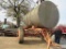 Water Wagon
