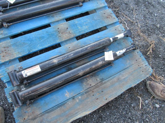 Hydraulic Cylinders (pair)